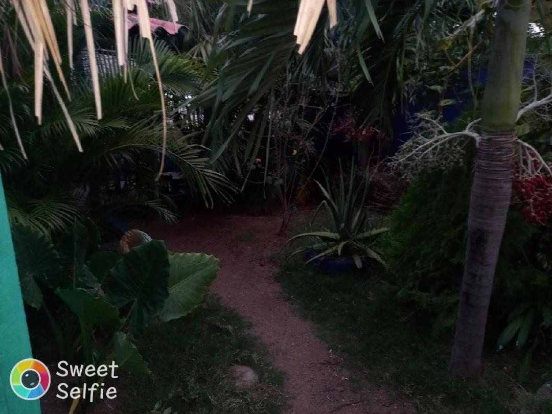 La Cascada Hostel & Restaurant Rivas Bagian luar foto